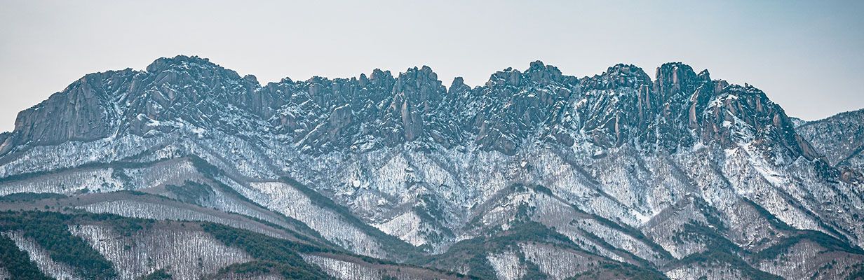 upperFilterBg
