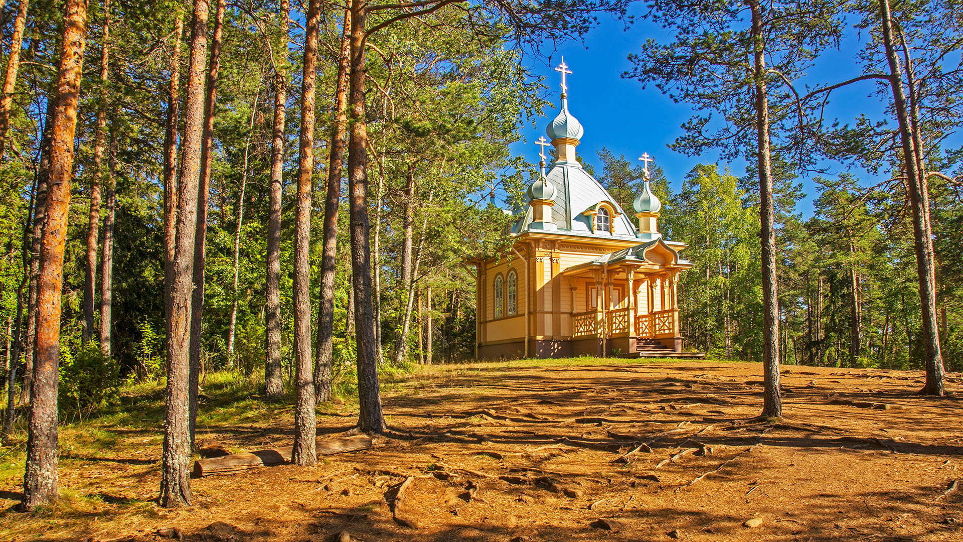 slide image