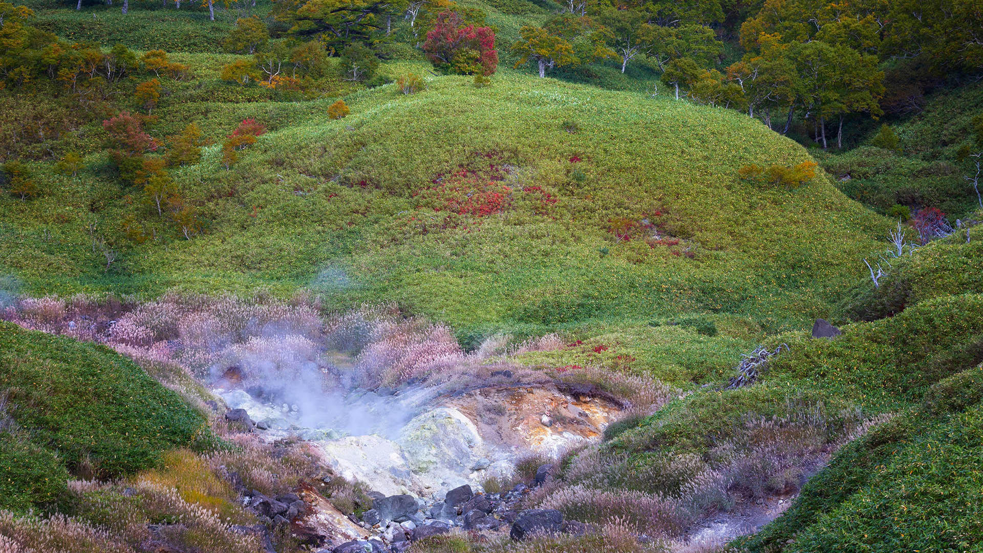 slide image